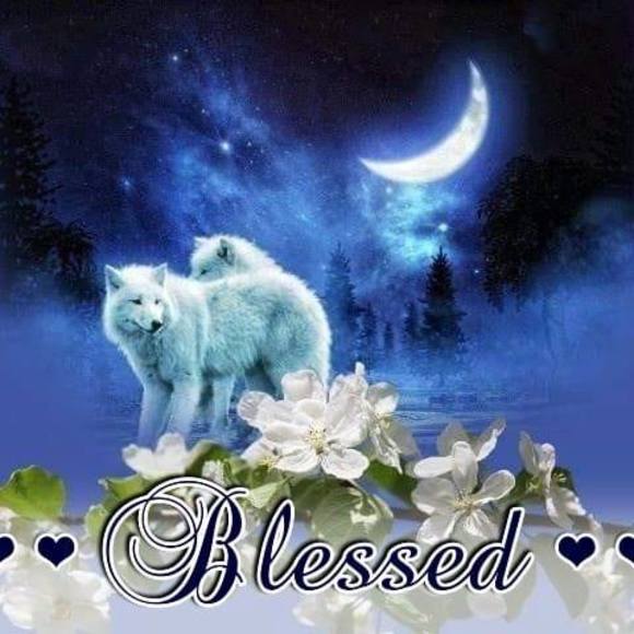 Meet your Posher, Rose - Picture 1 of 1